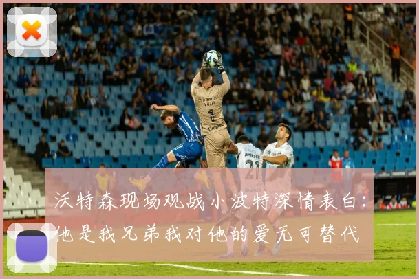 沃特森现场观战小波特深情表白：他是我兄弟我对他的爱无可替代